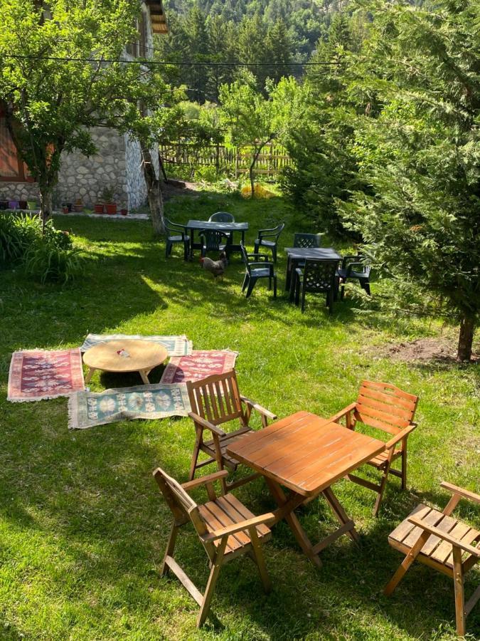 Guesthouse Demushi Валбона Екстериор снимка