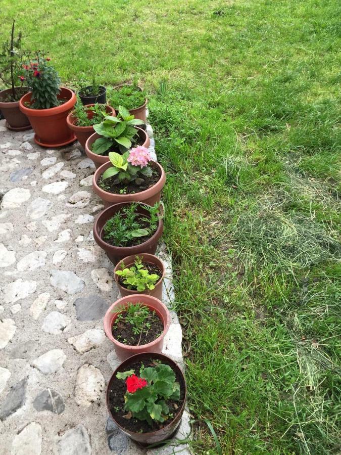 Guesthouse Demushi Валбона Екстериор снимка